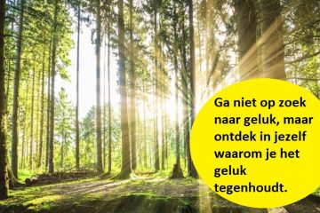 geluk zoeken